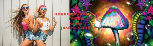 гидропоника Белоозёрский