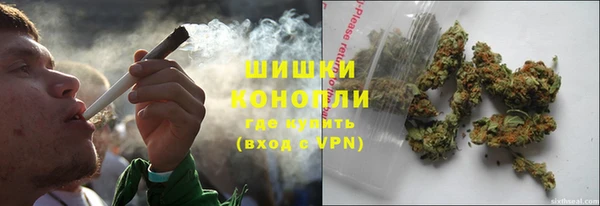 ГАЛЛЮЦИНОГЕННЫЕ ГРИБЫ Богородицк