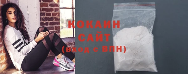 гашик Богданович