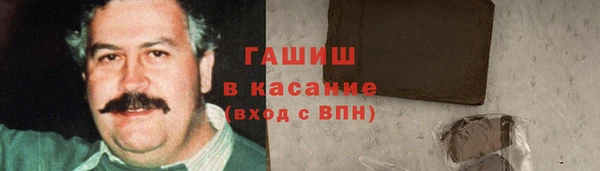 гидра Богородск