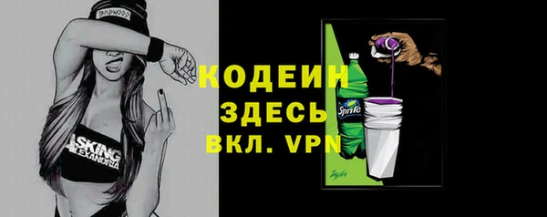 гидра Богородск