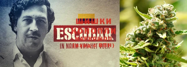 гидропоника Белоозёрский