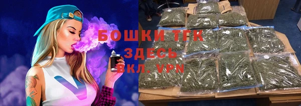 гашик Богданович