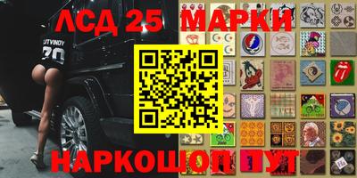 молекула духа Заводоуковск