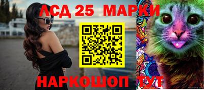 молекула духа Заводоуковск