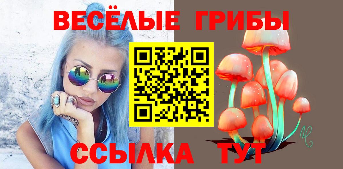 Галлюциногенные грибы мицелий Минеральные Воды