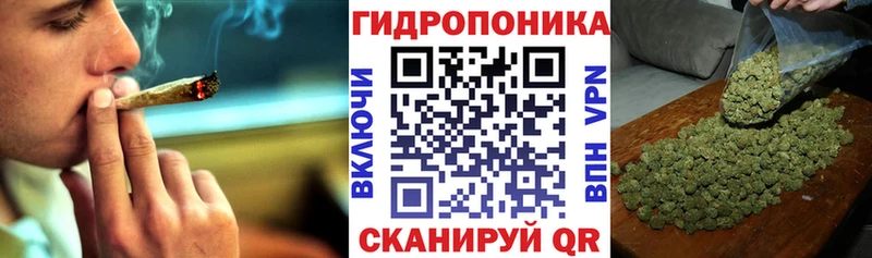 Каннабис сатива  Минеральные Воды 